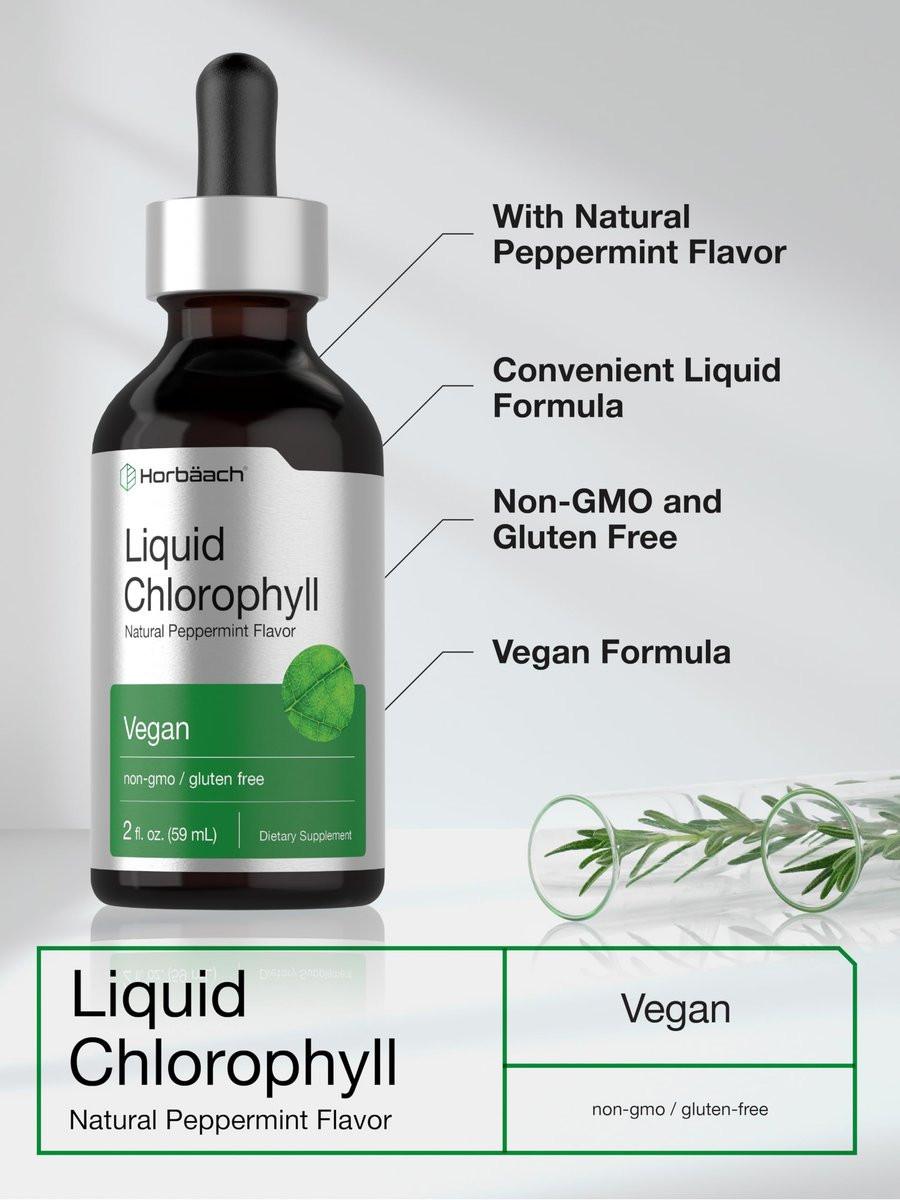 Horbäach Liquid Chlorophyll Drops | 2 fl oz | Natürlicher Pfefferminzgeschmack | Vegan, Nicht-GVO & Glutenfrei