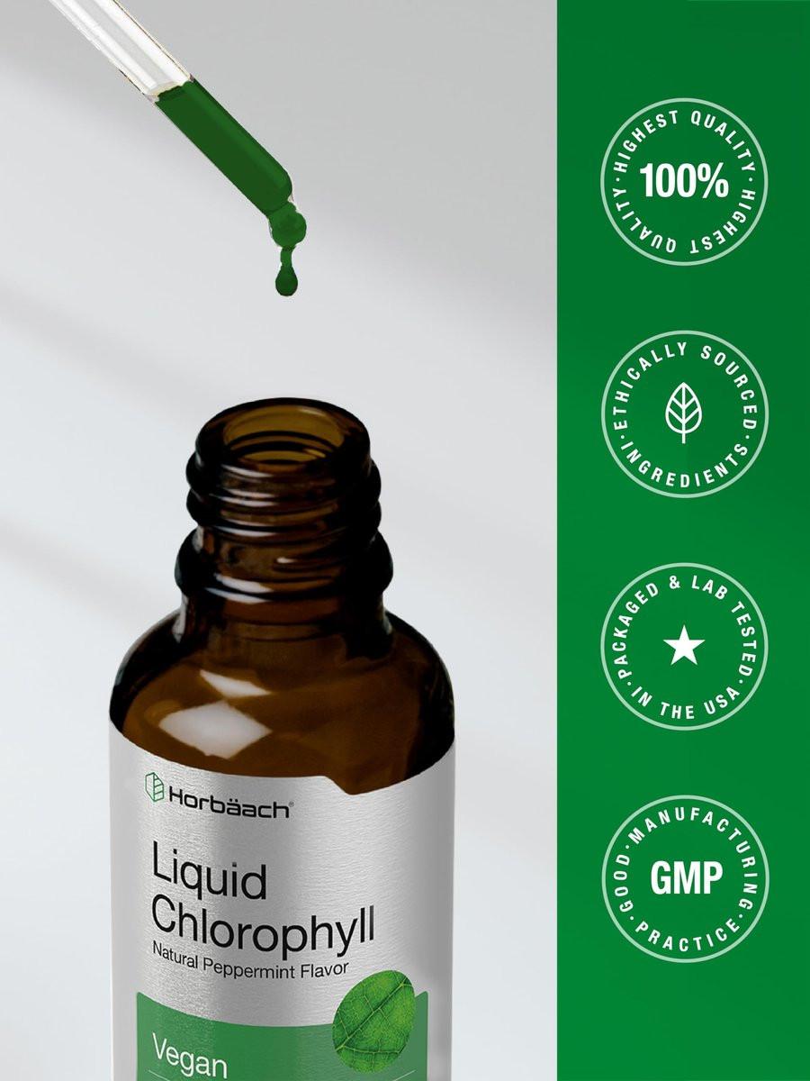 Horbäach Liquid Chlorophyll Drops | 2 fl oz | Natürlicher Pfefferminzgeschmack | Vegan, Nicht-GVO & Glutenfrei