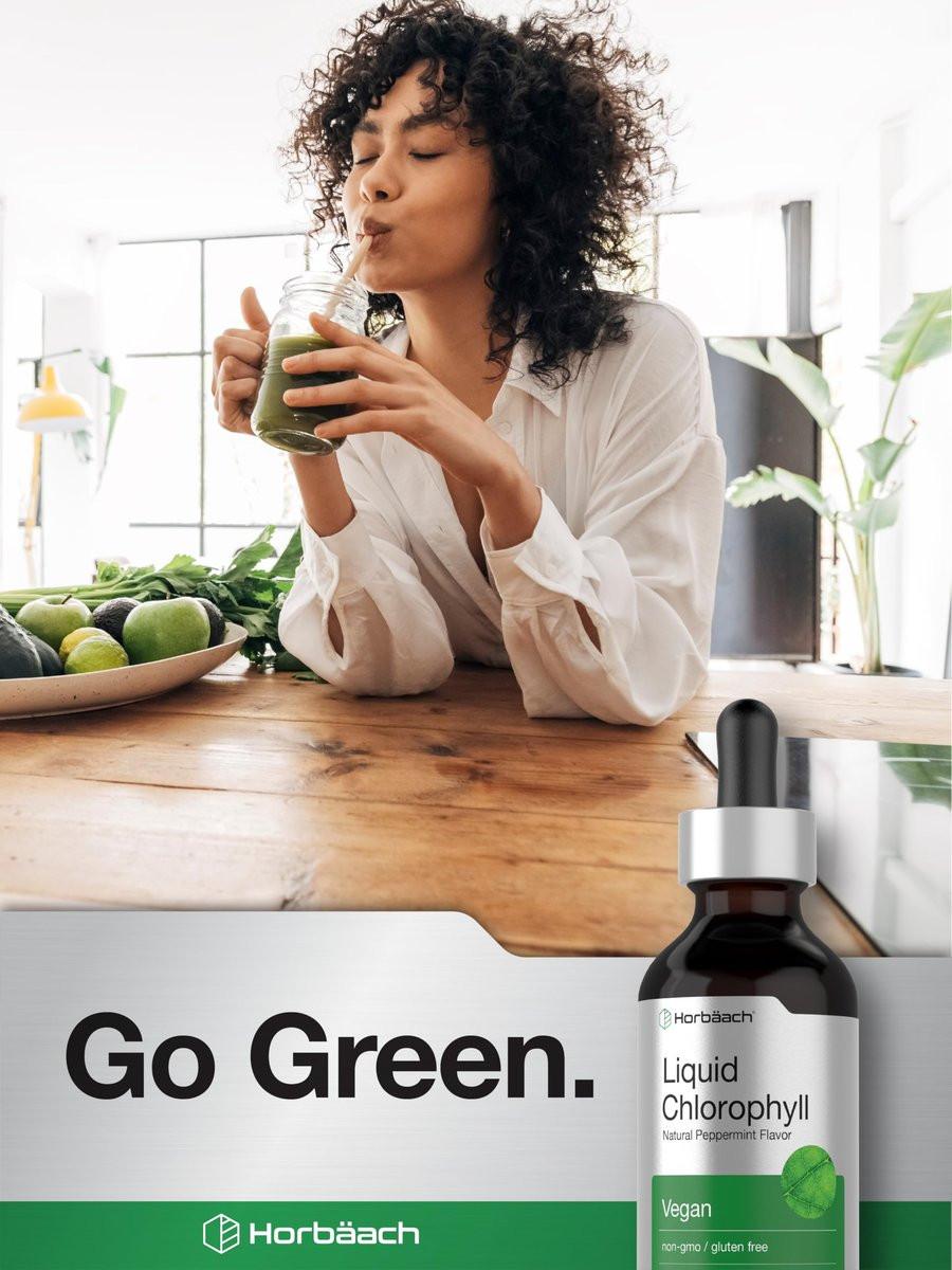 Horbäach Liquid Chlorophyll Drops | 2 fl oz | Natürlicher Pfefferminzgeschmack | Vegan, Nicht-GVO & Glutenfrei
