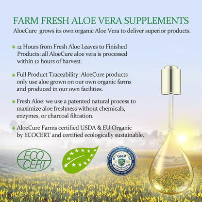 AloeCure Aloe Vera Kapseln – Mit Bio-Aloe Vera zur sanften Unterstützung der Darmgesundheit & Verdauung, Magensäure-Puffer, natürliches Immunsupplement, Aloin-frei, 30 Kapseln à 300 mg