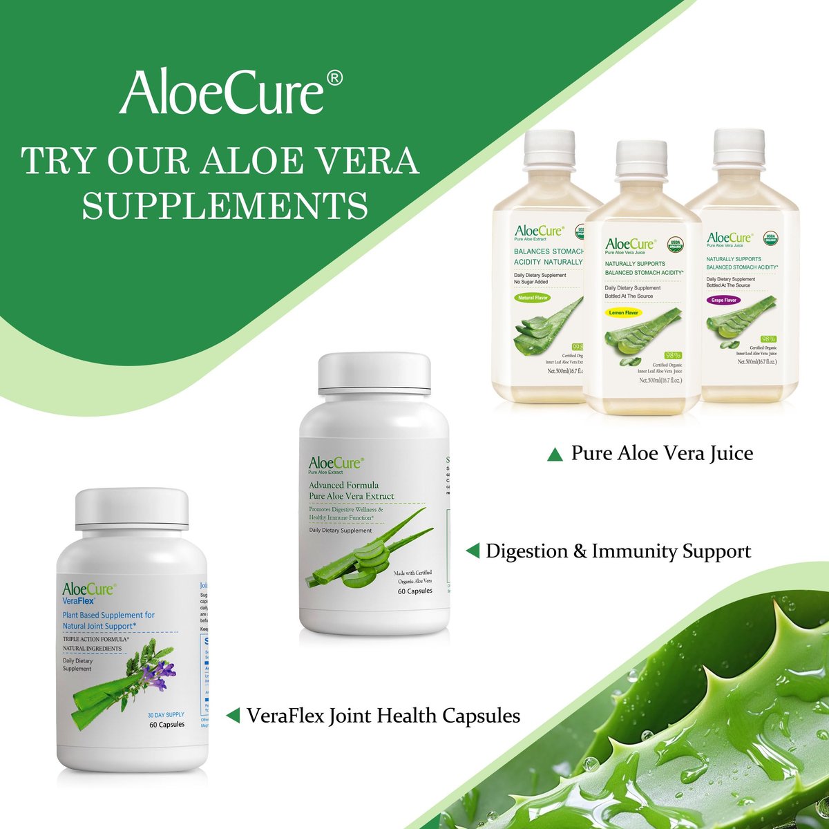 AloeCure Aloe Vera Kapseln – Mit Bio-Aloe Vera zur sanften Unterstützung der Darmgesundheit & Verdauung, Magensäure-Puffer, natürliches Immunsupplement, Aloin-frei, 30 Kapseln à 300 mg