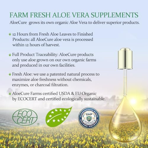 AloeCure Aloe Vera Kapseln – Mit Bio-Aloe Vera zur sanften Unterstützung der Darmgesundheit & Verdauung, Magensäure-Puffer, natürliches Immunsupplement, Aloin-frei, 30 Kapseln à 300 mg
