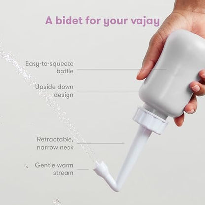 Frida Mom umgedrehter Peri-Flaschen-Sprüher – Perinealpflege & postpartale Erholung, tragbarer Reise-Bidet & Perinealreiniger mit Reisetasche, postpartales Essential, Grau