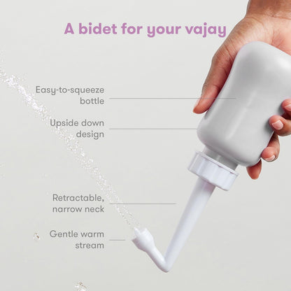 Frida Mom umgedrehter Peri-Flaschen-Sprüher – Perinealpflege & postpartale Erholung, tragbarer Reise-Bidet & Perinealreiniger mit Reisetasche, postpartales Essential, Grau