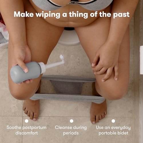 Frida Mom umgedrehter Peri-Flaschen-Sprüher – Perinealpflege & postpartale Erholung, tragbarer Reise-Bidet & Perinealreiniger mit Reisetasche, postpartales Essential, Grau