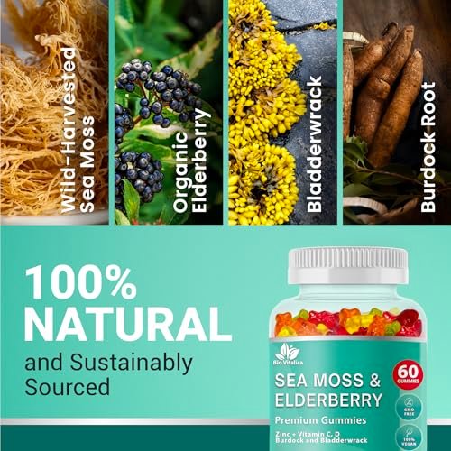 BIO VITALICA Irish Sea Moss Gummies mit Holunderbeere – USA hergestellte vegane Gummis mit Vitamin C, D & Zink – Immununterstützung mit Blasentang & Klettenwurzel für Erwachsene & Kinder – 60 Stück