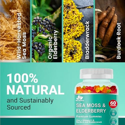BIO VITALICA Irish Sea Moss Gummies mit Holunderbeere – USA hergestellte vegane Gummis mit Vitamin C, D & Zink – Immununterstützung mit Blasentang & Klettenwurzel für Erwachsene & Kinder – 60 Stück