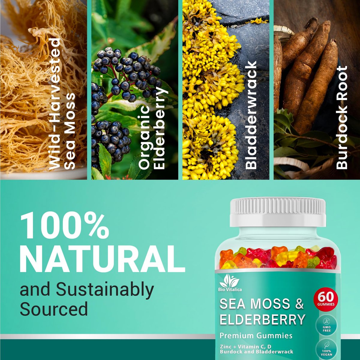 BIO VITALICA Irish Sea Moss Gummies mit Holunderbeere – USA hergestellte vegane Gummis mit Vitamin C, D & Zink – Immununterstützung mit Blasentang & Klettenwurzel für Erwachsene & Kinder – 60 Stück