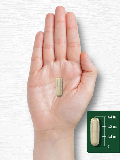 Carlyle Flohsamenschalen Kapseln 1600mg | 200 Stück | Hochdosierter Ballaststoffkomplex | Non-GMO, Glutenfrei