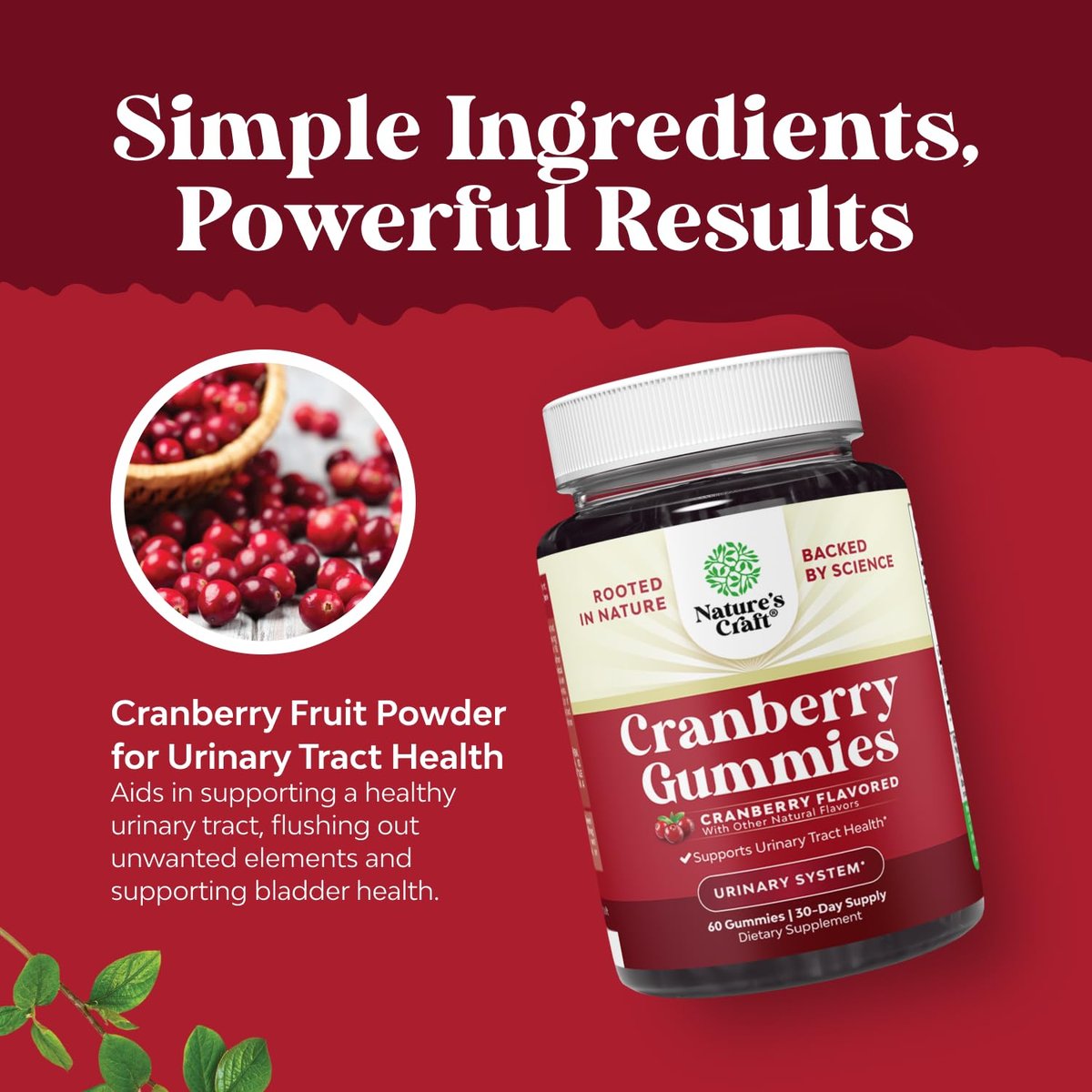 Natürliche Cranberry Gummis für Frauen und Männer – Extra starke, leckere Antioxidantien für die Gesundheit der Harnwege – Nieren- & Blasenunterstützung mit Immunstärkung – Vegan & Glutenfrei – 60 Stück