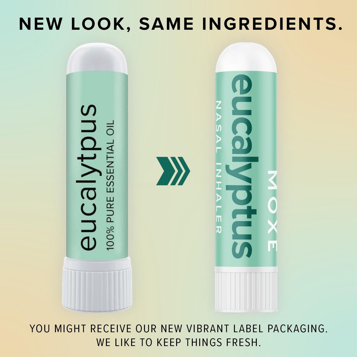 MOXĒ Eukalyptus-Öl Naseninhalator, Sinus- & Stauungslinderung, tägliche Entspannung, Stressabbau, therapeutische Aromatherapie ohne Schmutz, rein und natürlich, hergestellt in den USA (1 Packung)