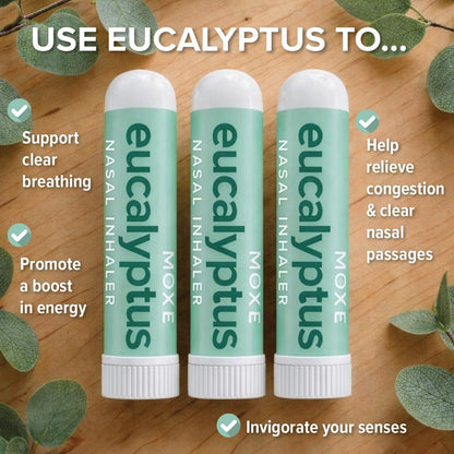 MOXĒ Eukalyptus ätherisches Öl Naseninhalator, 3er-Pack – Linderung bei Nebenhöhlen- und Verstopfungsbeschwerden, tägliche Entspannung, Stressabbau, therapeutische Aromatherapie, rein und natürlich, hergestellt in den USA