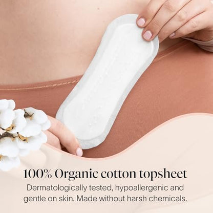 Cora Bio-Baumwoll-Einlagen für Blasenschwäche (50 Extra Lange Einlagen)
