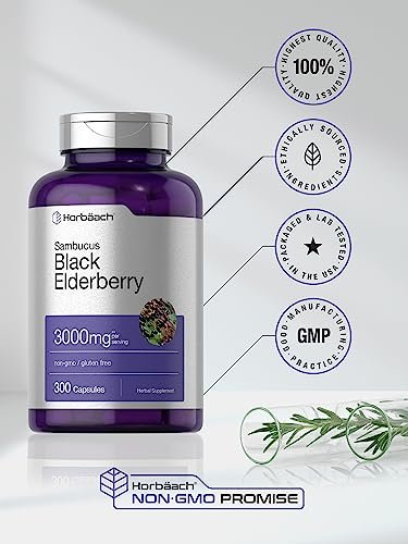 Horbäach Schwarzer Holunder | 300 Kapseln | Sambucus Nahrungsergänzung | Non-GMO & Glutenfrei