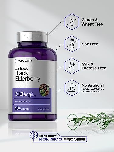 Horbäach Schwarzer Holunder | 300 Kapseln | Sambucus Nahrungsergänzung | Non-GMO & Glutenfrei