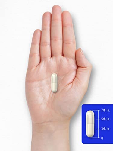 Carlyle DL-Phenylalanin | 1000 mg | 180 Kapseln | Nicht-GVO und glutenfrei | DLPA Freiform-Ergänzung