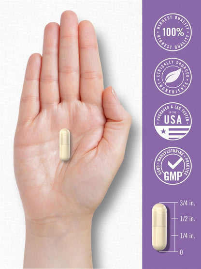 Carlyle Saccharomyces Boulardii Probiotika & Präbiotika | 10 Milliarden KBE | 200 Kapseln | XXL-Vorteilspackung | Non-GMO, Glutenfrei