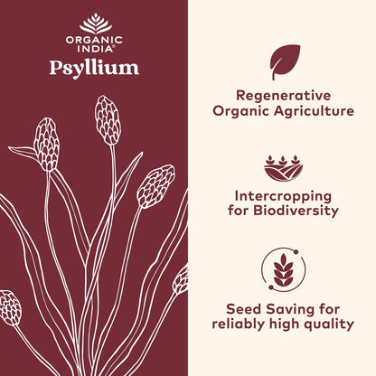 ORGANIC INDIA Psyllium Husk Kapseln – Ballaststoff Ergänzung, Gesunde Verdauung – Vegan, Keto geeignet, Glutenfrei, USDA Bio, Nicht-GVO, Lösliche & Unlösliche Ballaststoffe – 180 Kapseln