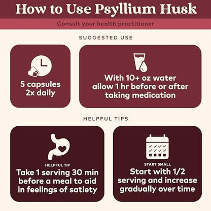 ORGANIC INDIA Psyllium Husk Kapseln – Ballaststoff Ergänzung, Gesunde Verdauung – Vegan, Keto geeignet, Glutenfrei, USDA Bio, Nicht-GVO, Lösliche & Unlösliche Ballaststoffe – 180 Kapseln