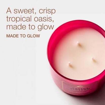 Bath & Body Works Cactus Blossom 3-Docht-Kerze – Duftkerze für Zuhause – Lang anhaltender, raumfüllender Duft – Hohe Duftölkonzentration – Sojawachsmischung