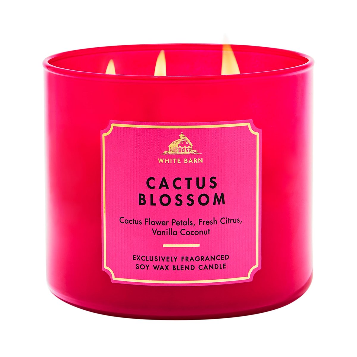 Bath & Body Works Cactus Blossom 3-Docht-Kerze – Duftkerze für Zuhause – Lang anhaltender, raumfüllender Duft – Hohe Duftölkonzentration – Sojawachsmischung