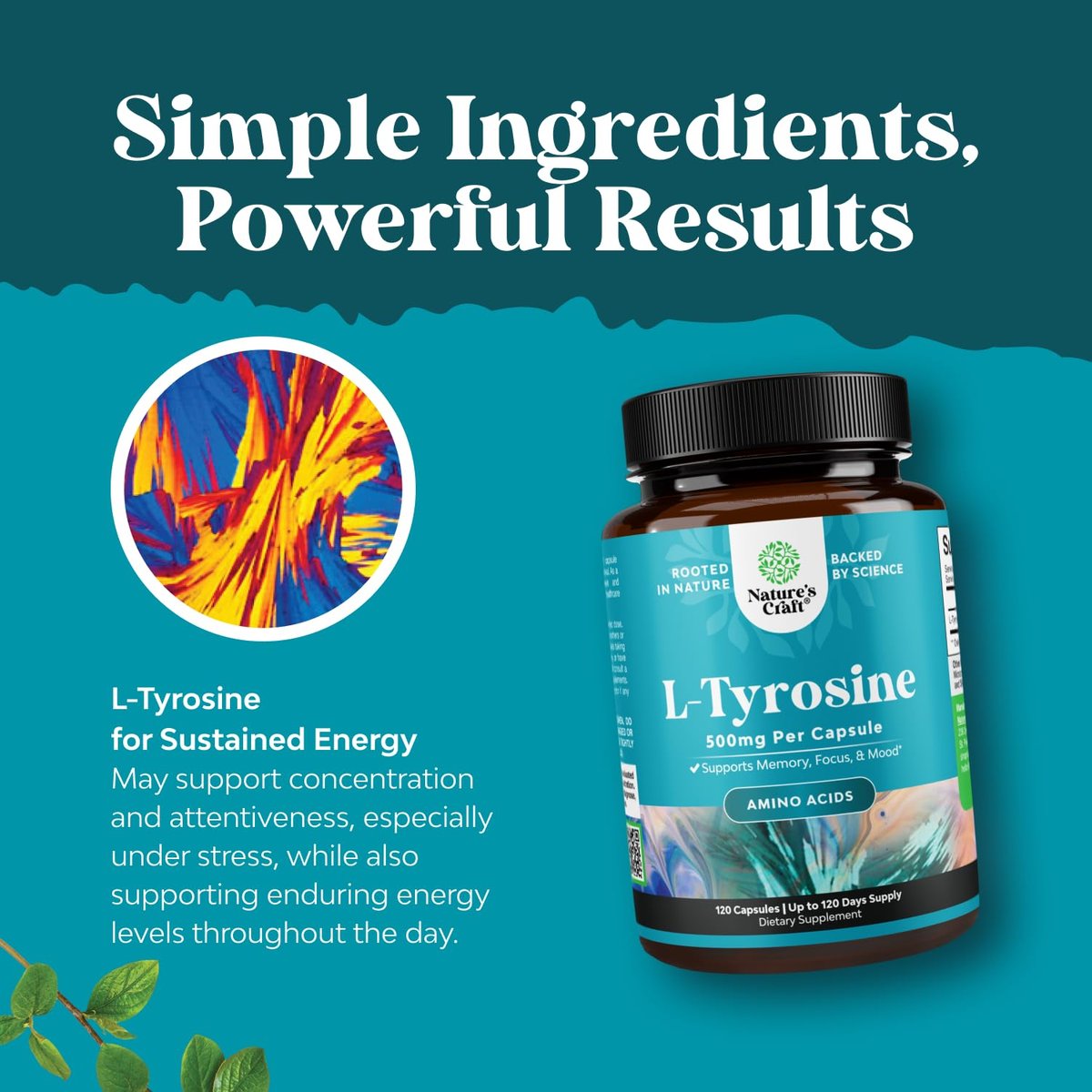 Free Form L-Tyrosin 500mg Kapseln – Hochdosiertes L-Tyrosin Supplement für mentale Energie und Fokus – Aminosäure Nootropikum zur Unterstützung von Stimmung, Konzentration und kognitiver Leistung