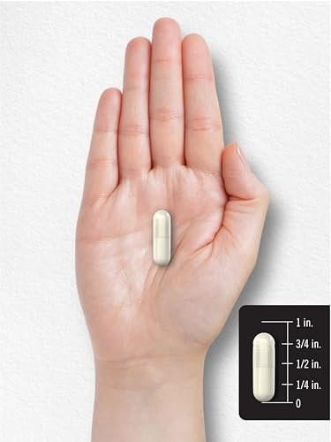 Carlyle Niacinamid 500 mg Kapseln | 300 Stück | Vitamin B3 | Nicht-GVO & glutenfrei