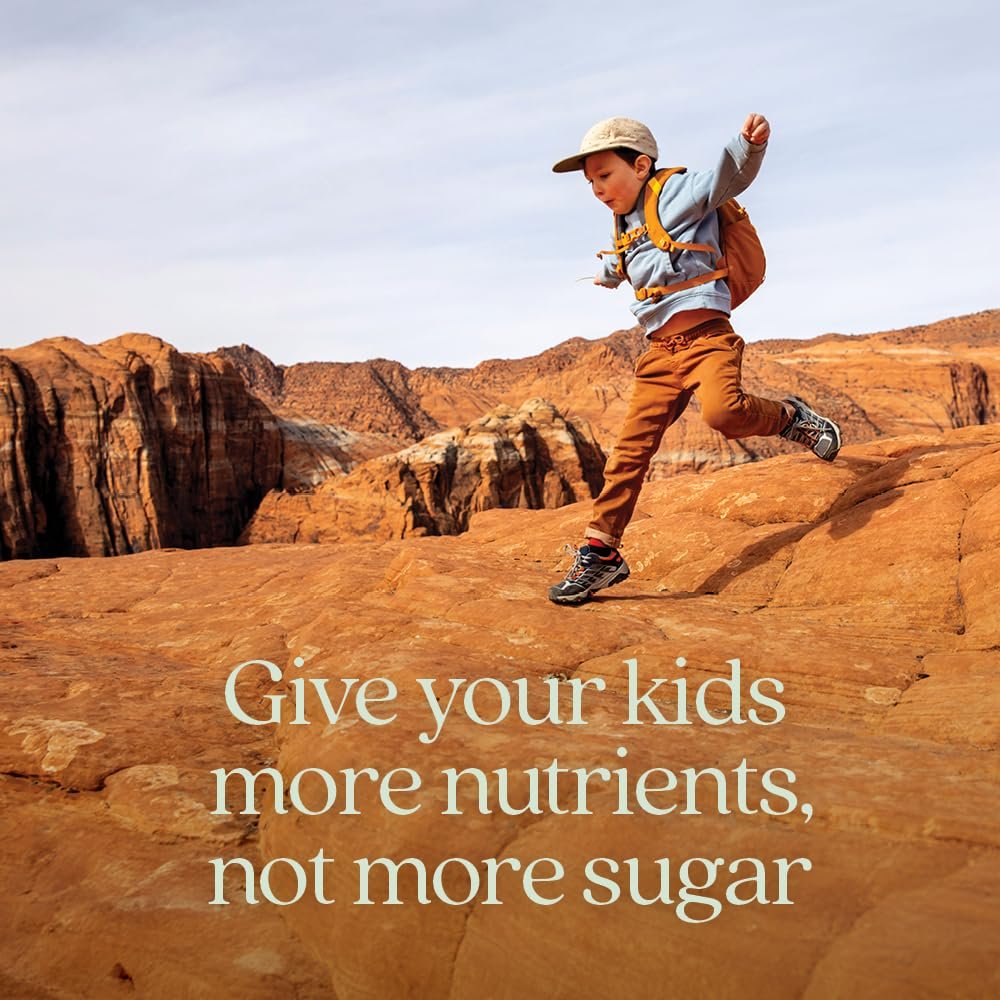 New Chapter Kinder-Multivitamin Gummibärchen - 65% weniger Zucker, mit Vitamin C, D3 & Zink, Nicht-GVO, Glutenfrei, Beeren-Zitrus, 60 Stück