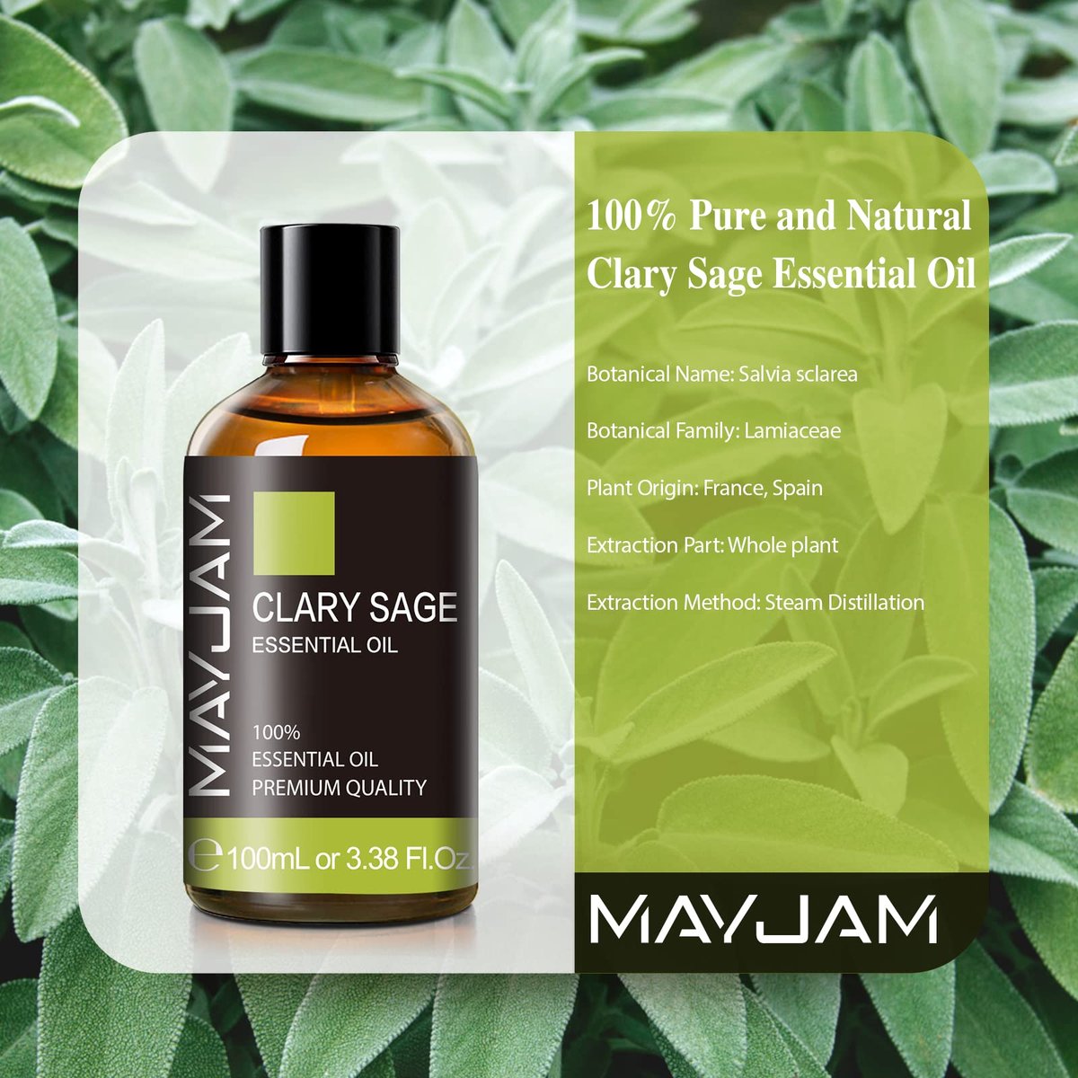 MAYJAM Clary Salbei Ätherisches Öl mit Glaspipette - Reines Clary Salbei Öl für Diffuser und Aromatherapie - 100 ml