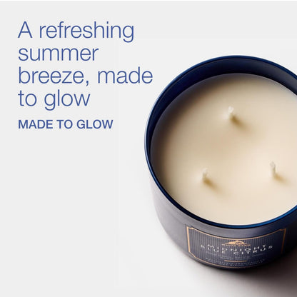 Bath & Body Works Midnight Blue Citrus 3-Docht-Kerze – Duftkerze für Zuhause – langanhaltender, raumfüllender Duft – hohe Duftölkonzentration – Sojawachsmischung