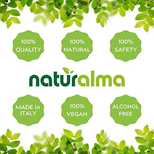 Naturalma Rosskastanie (Aesculus hippocastanum) Samen Alkoholfreie Tinktur - 118 ml Flüssigextrakt in Tropfen - Pflanzliches Nahrungsergänzungsmittel - Vegan