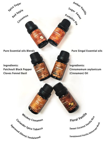 HIQILI Gewürz Duftöl Set 6x10ml – Herbstliche Aromen für Kerzen, Seife, Diffuser – Zimt, Kürbis, Vanille, Apfelwein, Harvest Spice