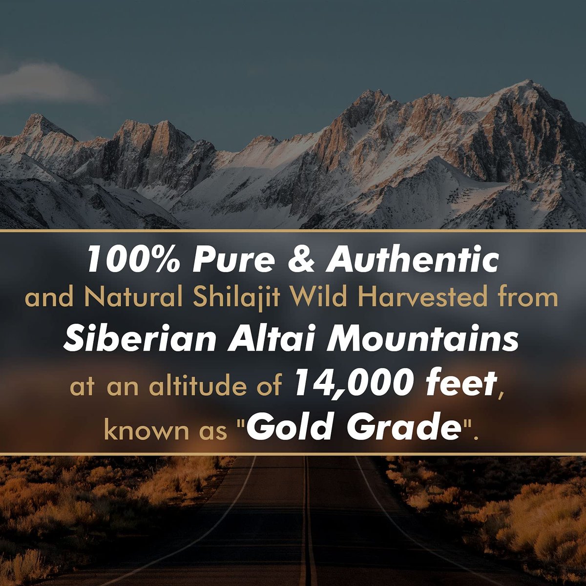Shilajit-Harz mit Fulvinsäure & Spurenelementen, Original Sibirisches Reines Shilajit mit 85+ Huminsäuren, Nahrungsergänzungsgel zur Unterstützung von Stoffwechsel & Immunsystem – 100 Portionen / 50 g