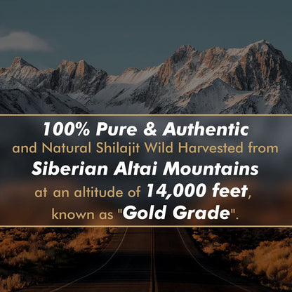 Shilajit-Harz mit Fulvinsäure & Spurenelementen, Original Sibirisches Reines Shilajit mit 85+ Huminsäuren, Nahrungsergänzungsgel zur Unterstützung von Stoffwechsel & Immunsystem – 100 Portionen / 50 g