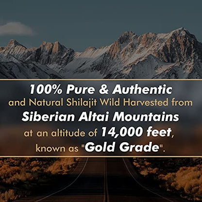 Shilajit-Harz mit Fulvinsäure & Spurenelementen, Original Sibirisches Reines Shilajit mit 85+ Huminsäuren, Nahrungsergänzungsgel zur Unterstützung von Stoffwechsel & Immunsystem – 100 Portionen / 50 g