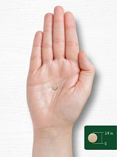 Carlyle Meeresalgen Jod Ergänzung | 225mcg | 300 Tabletten | Traditionelles Kräuterpräparat | Nicht-GVO, Glutenfrei