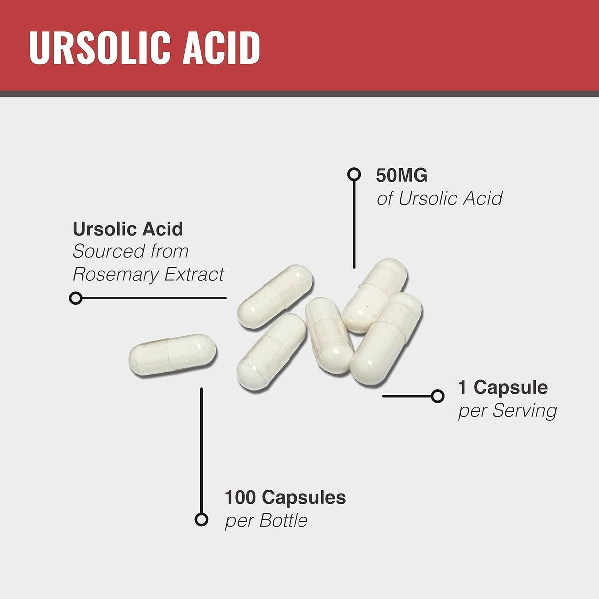 MAAC10 Ursolic Acid 50mg – 100 Kapseln (3-fach konzentriert: 150mg, 33-Tage-Portion) | Aus Rosmarinextrakt | Laborgeprüft | AMPK & Sirtuin-Aktivator