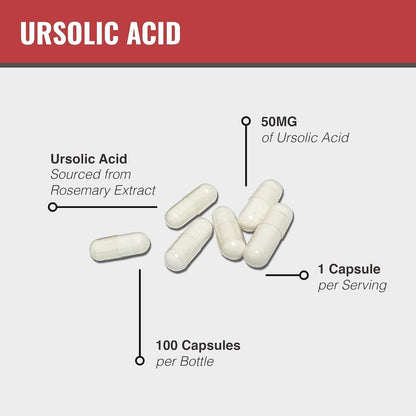MAAC10 Ursolic Acid 50mg – 100 Kapseln (3-fach konzentriert: 150mg, 33-Tage-Portion) | Aus Rosmarinextrakt | Laborgeprüft | AMPK & Sirtuin-Aktivator