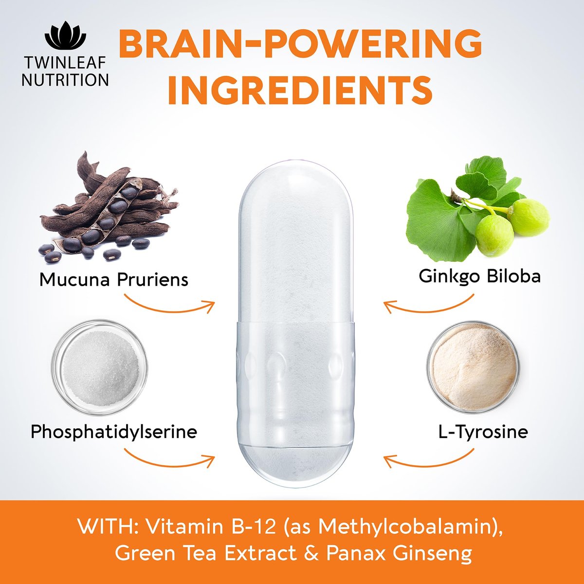 TWINLEAF NUTRITION Dopamin Hirnunterstützung Supplement, 1000 mg Mischung - Hergestellt in den USA - mit DMAE, Vitamin B12 und L-Tyrosin - Steigert das geistige Wohlbefinden - 60 Kapseln