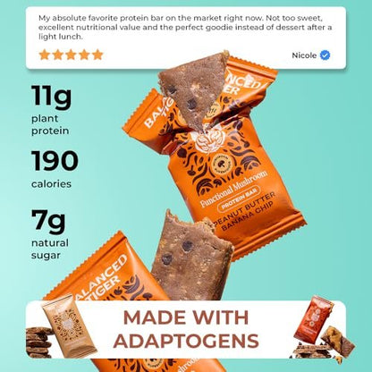 Balanced Tiger Vegan Protein Bars mit funktionellen Pilzen | Löwenmähne, Shitake, Reishi & Maitake | 6 Riegel Probierpaket
