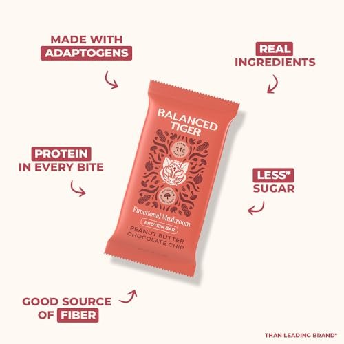 Balanced Tiger Vegan Protein Bars mit funktionellen Pilzen | Löwenmähne, Shitake, Reishi & Maitake | 6 Riegel Probierpaket