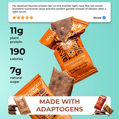 Balanced Tiger Vegan Protein Bars mit funktionellen Pilzen | Löwenmähne, Shitake, Reishi & Maitake | 6 Riegel Probierpaket