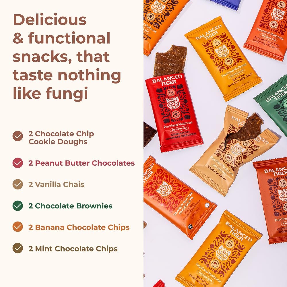 Balanced Tiger Vegan Protein Bars mit funktionellen Pilzen | Löwenmähne, Shitake, Reishi & Maitake | 6 Riegel Probierpaket