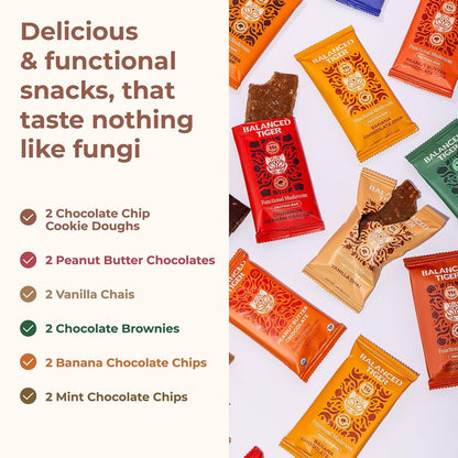 Balanced Tiger Vegan Protein Bars mit funktionellen Pilzen | Löwenmähne, Shitake, Reishi & Maitake | 6 Riegel Probierpaket