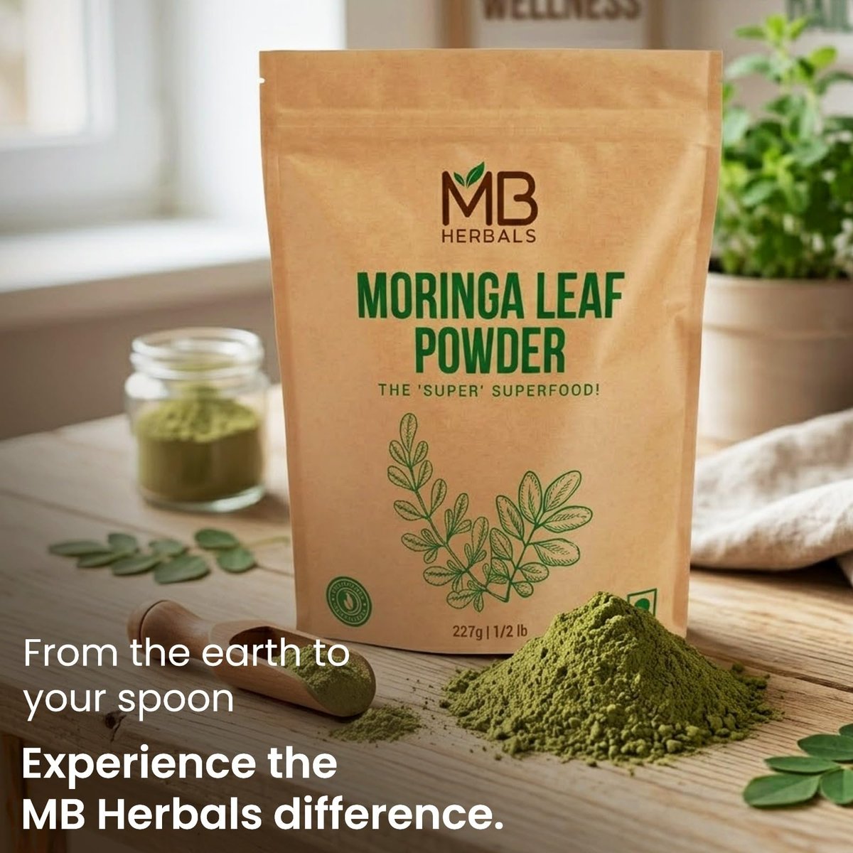 MB Herbals Moringa Pulver – 227g (8 oz) | 100% reines Moringa-Blattpulver | Löst sich leicht in Getränken & Smoothies | Ohne Konservierungsstoffe