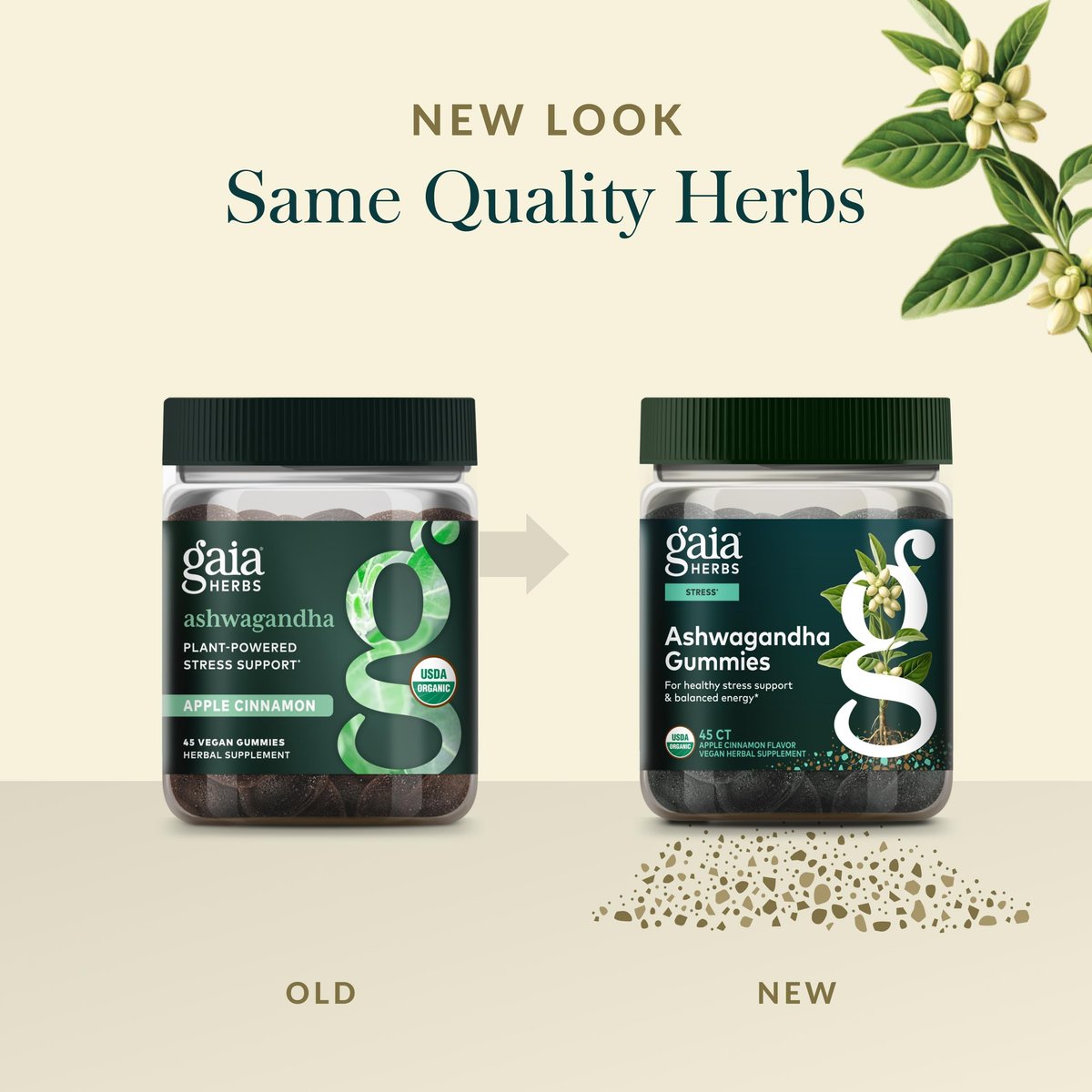 Gaia Herbs Bio Ashwagandha Gummis - Stressabbau* - Mit Zimt & Ingwer - Glutenfrei & Vegan - 45 Stück (15 Portionen)