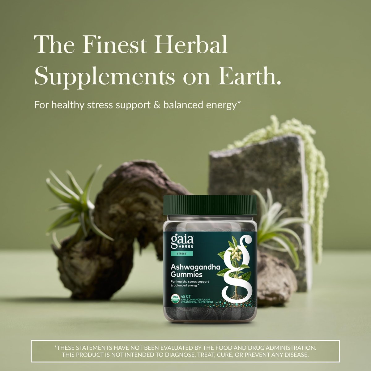 Gaia Herbs Bio Ashwagandha Gummis - Stressabbau* - Mit Zimt & Ingwer - Glutenfrei & Vegan - 45 Stück (15 Portionen)