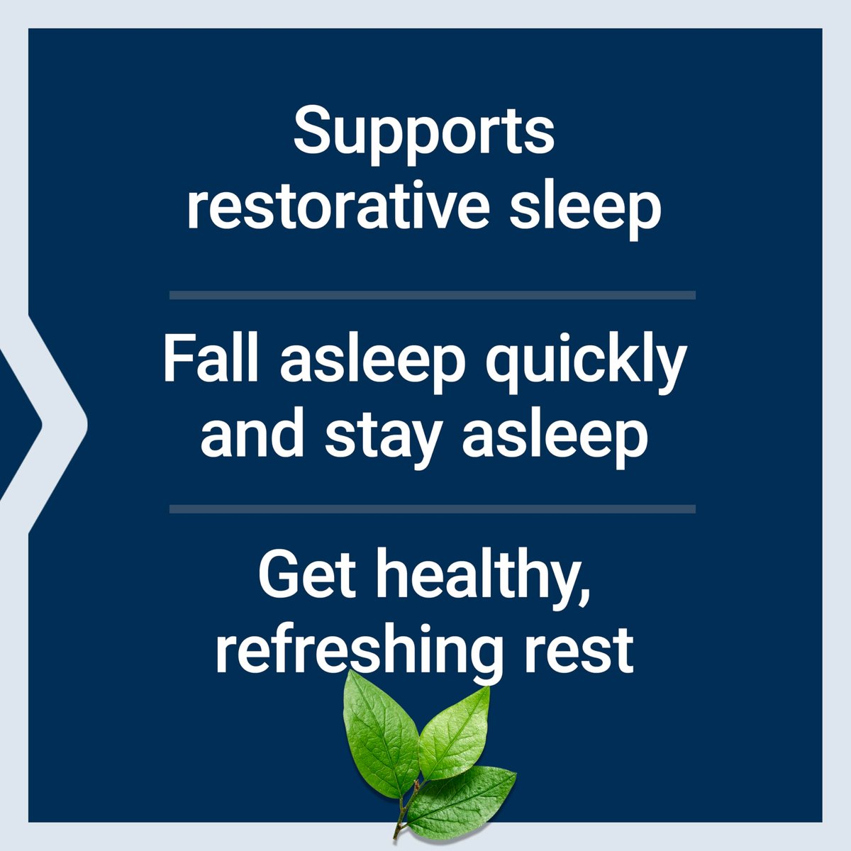 Life Extension Rest & Renew – Für einen erfrischenden und erholsamen Schlaf, glutenfrei, nicht gentechnisch verändert, vegetarisch, 30 Kapseln