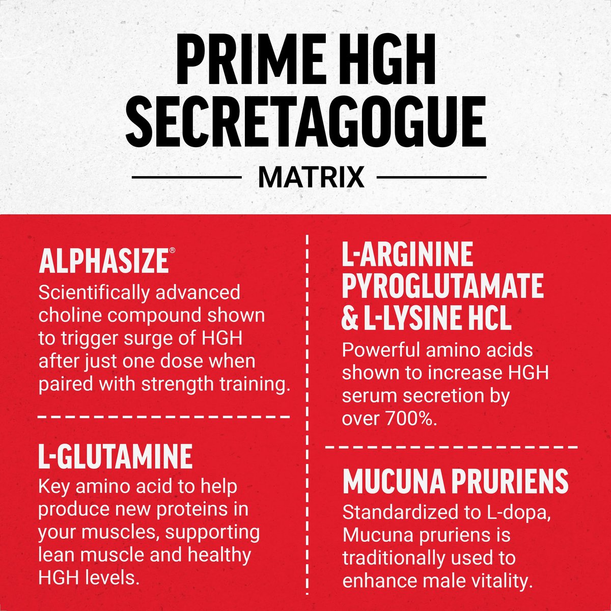 Force Factor Prime HGH-Sekretionsaktivator - HGH-Ergänzung für Männer mit klinisch untersuchtem AlphaSize zur Unterstützung der HGH-Produktion, Steigerung der Trainingskraft und Verbesserung der Leistung, 75 Kapseln