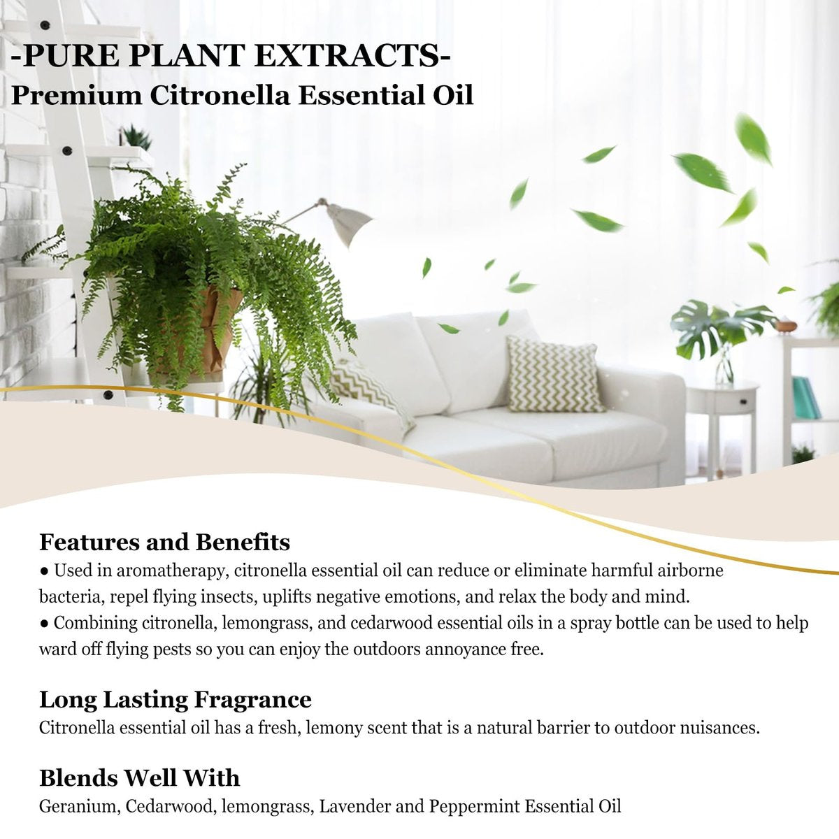 EUQEE Citronella-Öl, 118 ml Geschenkbox mit Pipette – Reines Citronella-Öl für Kerzen, Diffuser und Luftbefeuchter